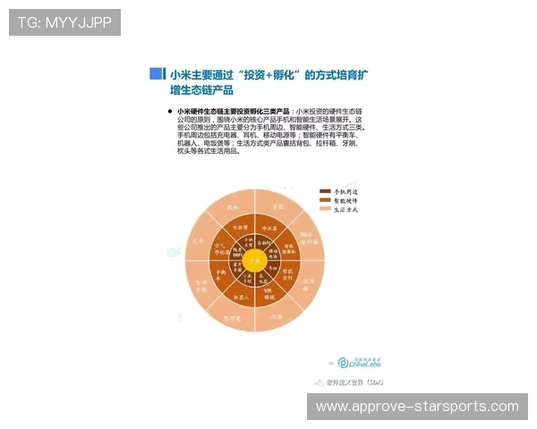 斯托克城俱乐部发展历程与未来战略全面解析